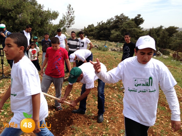 ludandyaffazaitoon (3).JPG